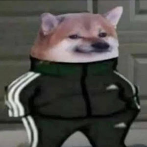 Meet your Posher, Doge